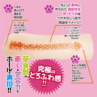淫獣王国(びーすとキングダム)に転生した俺はもはや彼女達の性玩具(おもちゃ) らびっと